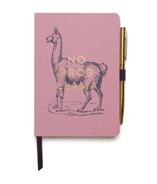 Cuaderno No Prob Llama